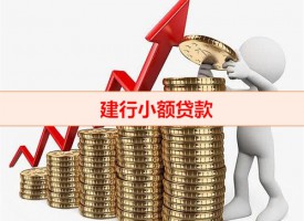 建設銀行小額貸款利息多少（建行小額貸款利息及計算）