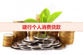 建行個(gè)人消費(fèi)類貸款有哪些(建行消費(fèi)貸款利率及計(jì)算)