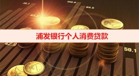 浦發(fā)個(gè)人消費(fèi)貸好批嗎（浦發(fā)銀行個(gè)人消費(fèi)貸款放款）