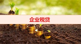 企業稅貸如何網上申請(企業稅貸網上操作攻略)