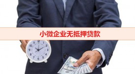 小微企業沒有抵押怎么貸款(小微企業無抵押貸款方式整理)