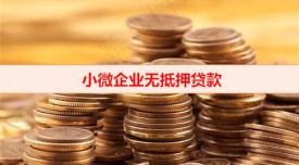 小微企業無抵押急貸怎么辦(小微企業無抵押貸款放款)
