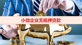 小企業無抵押貸款需要擔保人嗎(小微企業無抵押貸款申辦須知)