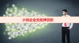 哪些銀行支持小微企業貸款(小微企業無抵押貸款利率)