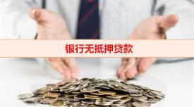 沒逾期為什么無(wú)抵押貸款被拒了(銀行無(wú)抵押貸款準(zhǔn)入限制)